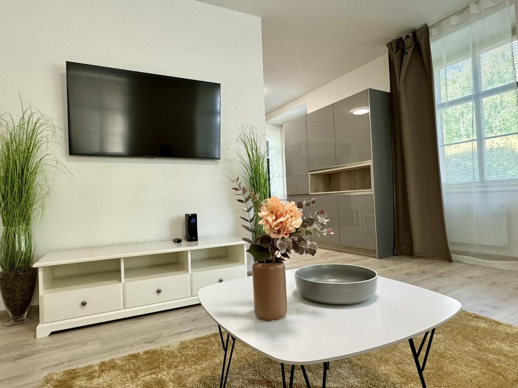 Rivercity Apartments Karlovy Vary Exterior foto